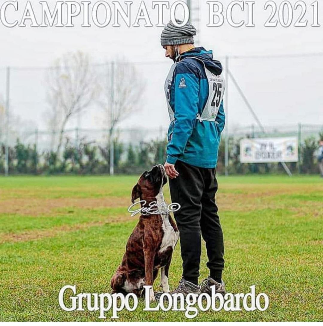 Cane in addestramento 2